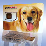  MultiSIM - SIM MAX Dog  6 